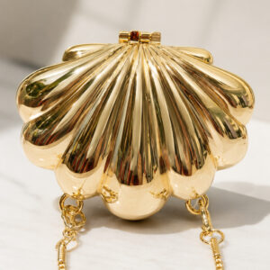 Small clutch silver and gold